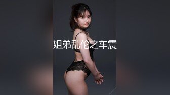 姐弟乱伦之车震