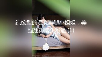 纯欲型的漂亮美腿小姐姐，美腿翘臀馒头粉逼 (1)