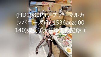 (HD1080P)(アブノーマルカンパニーズ)(h_1536aczd00140)奴女子大生の調教記録  (2)