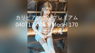 カリビアンコム プレミアム 040717_005 S Model 170 おもてなし庵